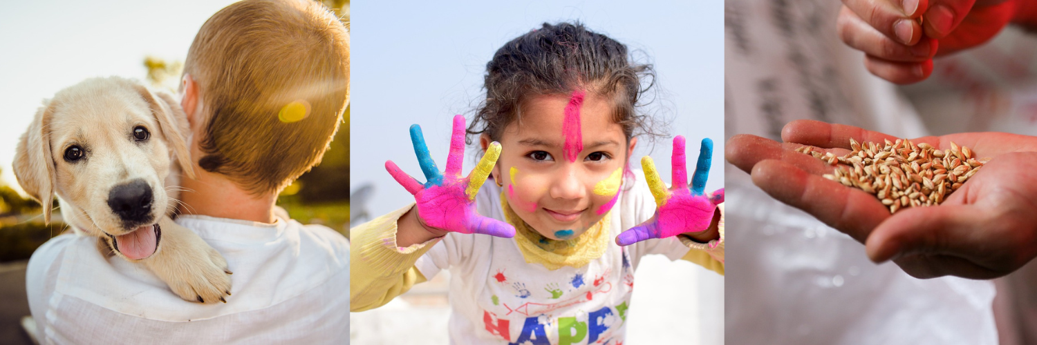 Paiva Foundation focus areas: animal welfare, visiting sick children, and food security